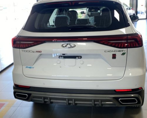 WhatsApp Image 2025-03-25 at 11.17.28